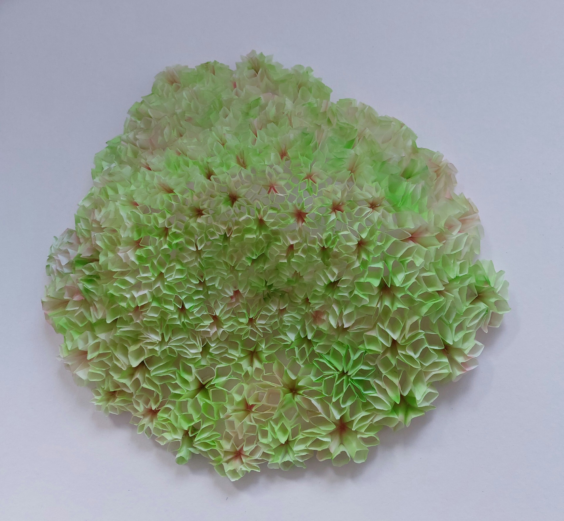 rose_groen_mos.jpg